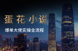 蛋花小说APP拉新，爆单大佬实操全流程，市场巨大