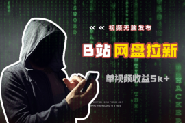 视频无脑发布B站做网盘拉新，单视频最高收益5k+