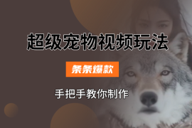 超级宠物视频玩法，条条爆款，手把手教你制作
