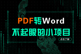 不起眼的小项目 - PDF转Word，同样也有人拿到了结果！