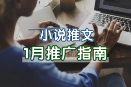 小说推文1月份玩法指南，终于有人把小说推文的玩法讲清楚了!