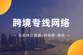 利用跨境专线网络-实现稳定直播-刷视频-搬砖TikTok-Shopify-FB