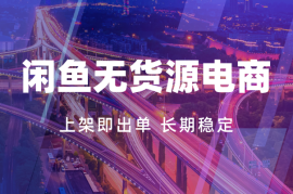 闲鱼无货源日入300+爆款货源 上架即出单