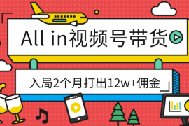 裸辞all in视频号带货，入局2个月打出12w+佣金【图文】