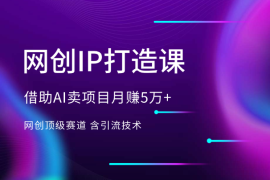 网创IP打造课，借助AI卖项目月赚5万+，含引流技术