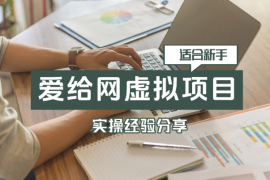 适合新手的项目-爱给网做虚拟资料经验分享