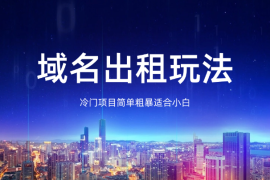 冷门项目，域名出租玩法，简单粗暴适合小白