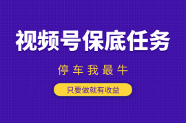 视频号官方保底任务，停车我最牛，只要做就有收益
