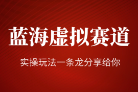 小红书真正意义上的蓝海虚拟赛道，主打一个信息差认知，实操玩法一条龙分享给你！