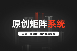 2025原创矩阵系统，三端一键操作，助力男粉变现