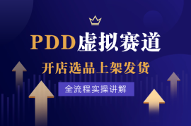 PDD虚拟赛道，开店、选品、上架、发货、规则全流程实操讲解