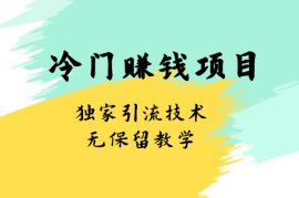 冷门赚钱项目无保留教学！独家引流技术