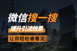 微信搜一搜优化，提升引流效果，让你轻松被看见