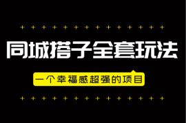 同城搭子全套玩法，一个幸福感超强的项目