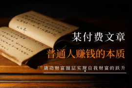 某付费文章：普通人赚钱的本质，实现财富跃升