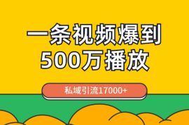 通过一条视频爆到视频号500万播放，私域引流17000+【图文】