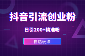 抖音引流创业粉自热玩法日引200+精准粉