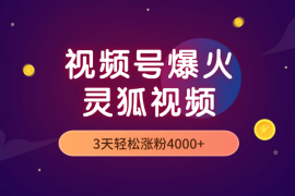 5分钟教你制作视频号爆火的灵狐视频，3天轻松涨粉4000+