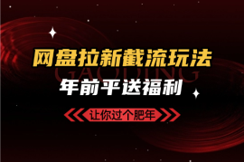 网盘拉新截流玩法讲解，年前平台送福利，让你过个肥年