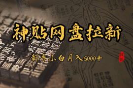 新手小白无脑简单月入6000+的天涯神贴网盘拉新