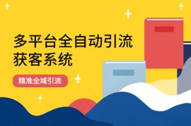 多平台全自动引流获客系统 精准全域引流