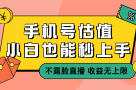 抖音手机尾号估值，不露脸直播，小白秒上手