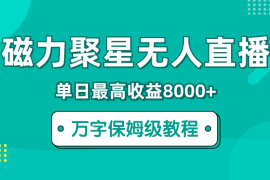 快手磁力聚星无人直播，单日最高收益8000+，近万字拆解保姆级教程！【图文】