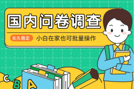 国内问卷调查小白在家也可批量操作，真正的长久稳定项目