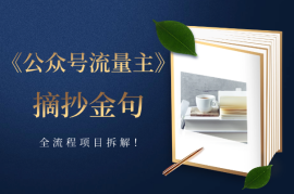 AI公众号流量主，摘抄金句一天100+，全流程项目拆解！
